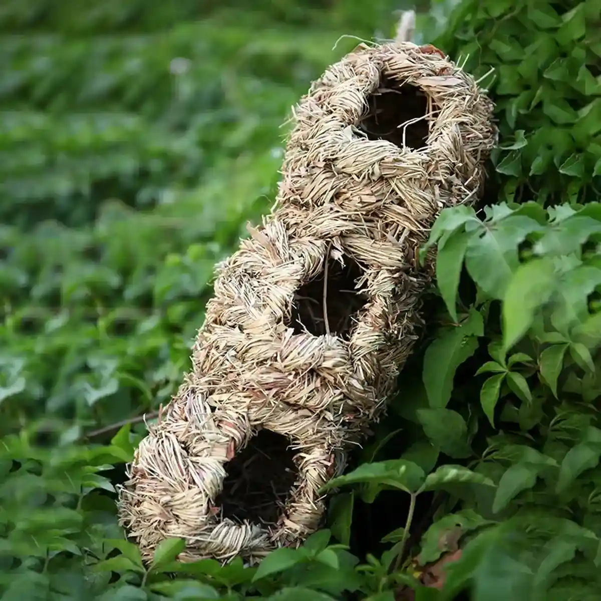 Natural Woven Hanging Bird Nest Peanut Style Bird House for Garden - Image 6