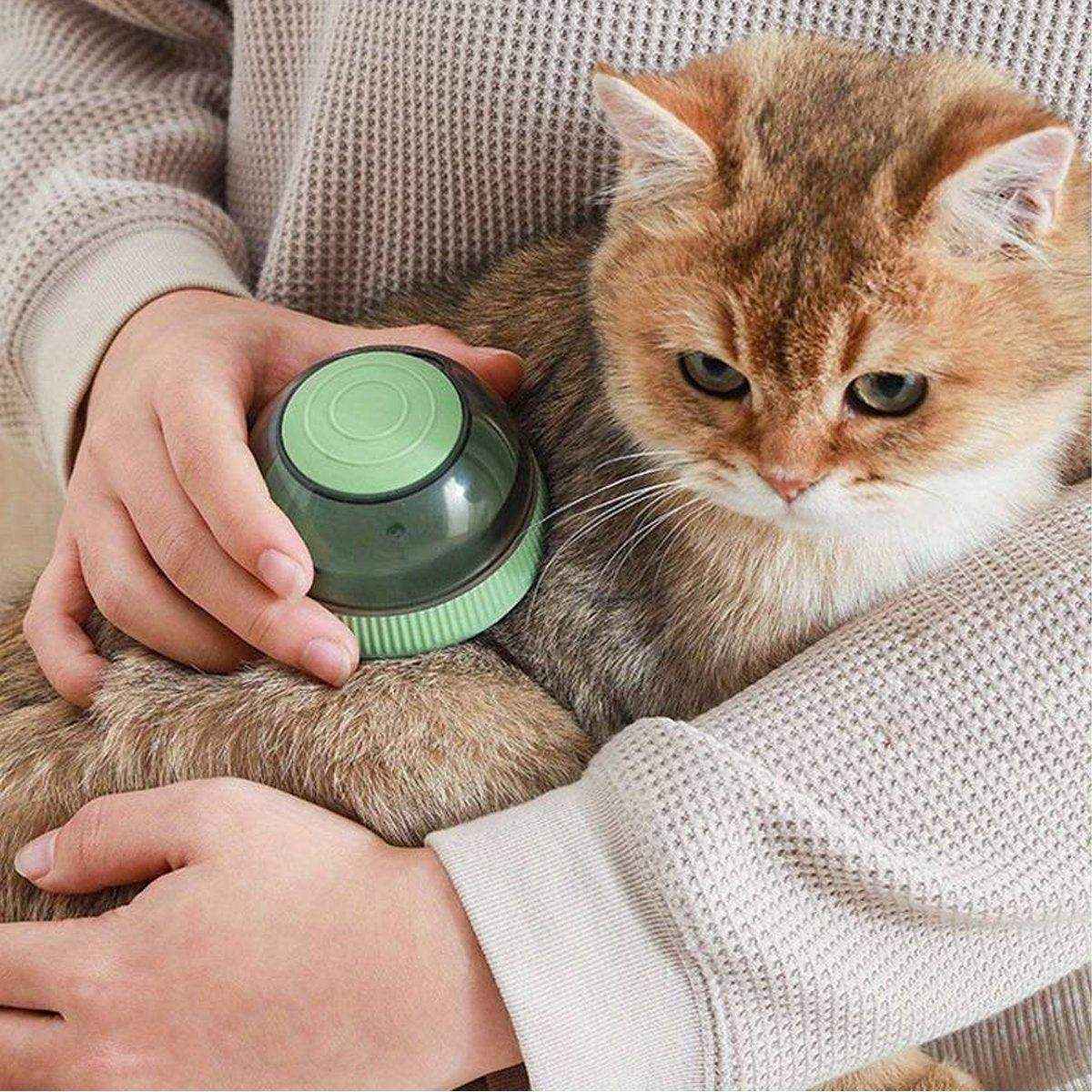 Pet Space Capsule Shower Brush Cat Dog Bath Massage Brush - Image 11
