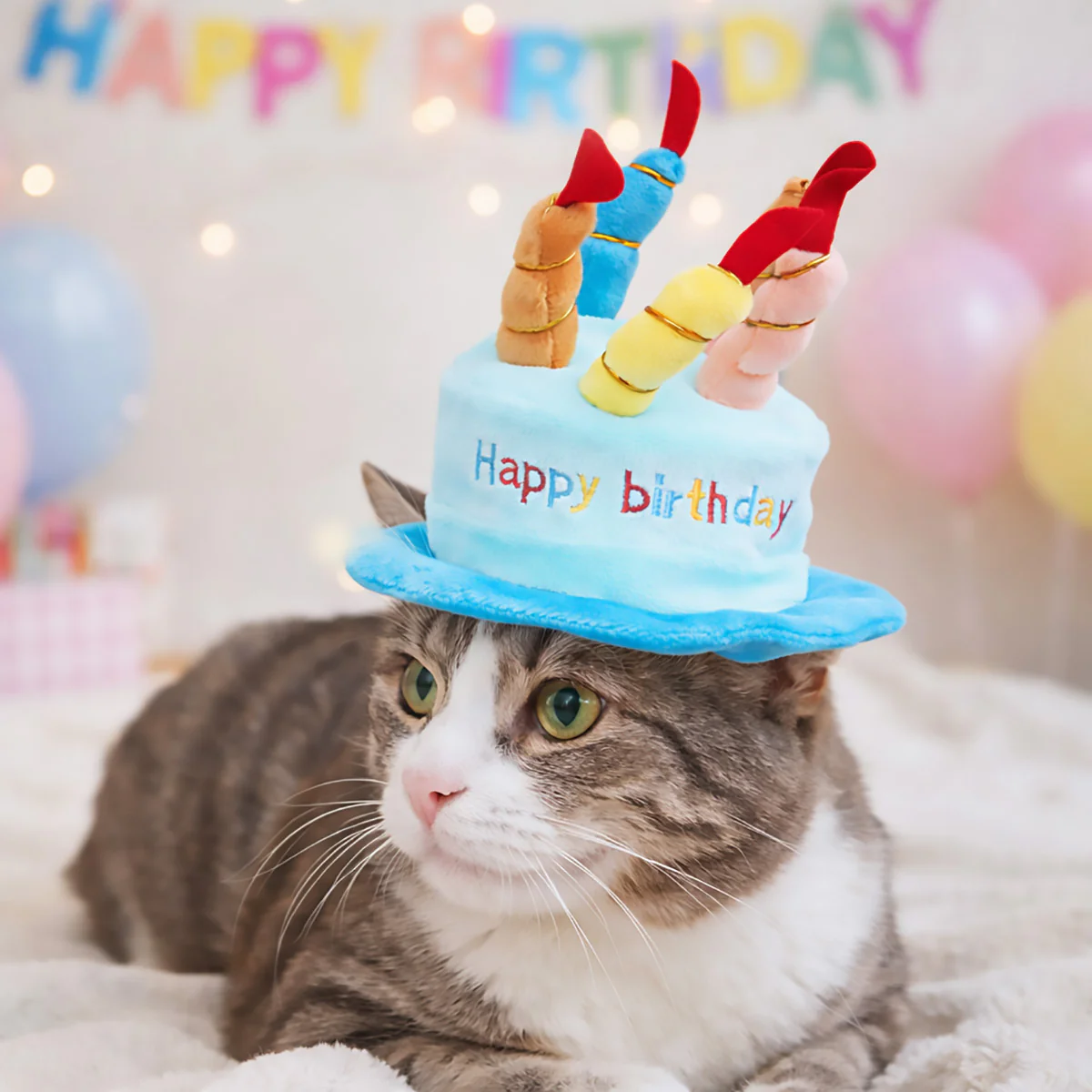 Pet Birthday Hat - Image 10