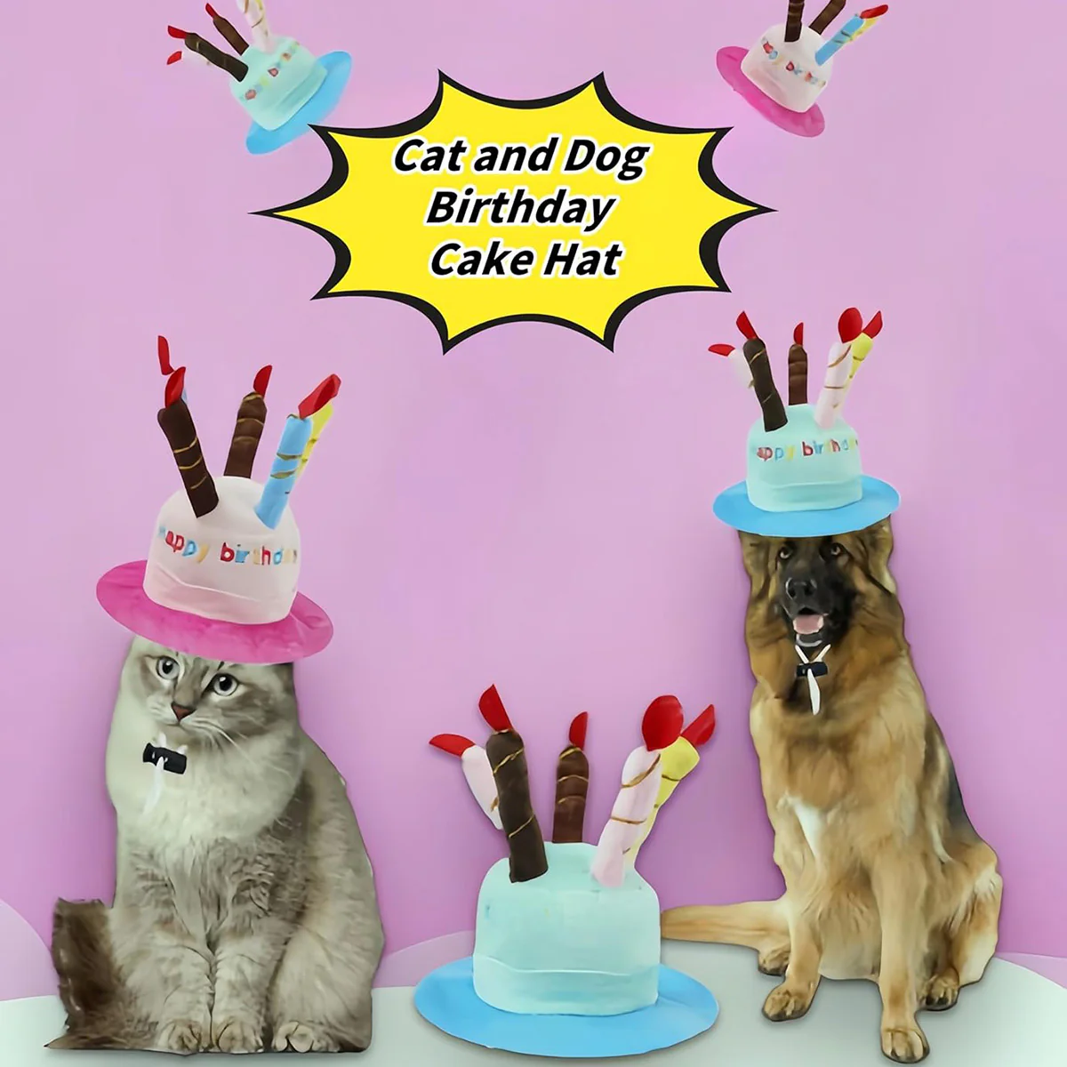Pet Birthday Hat - Image 5