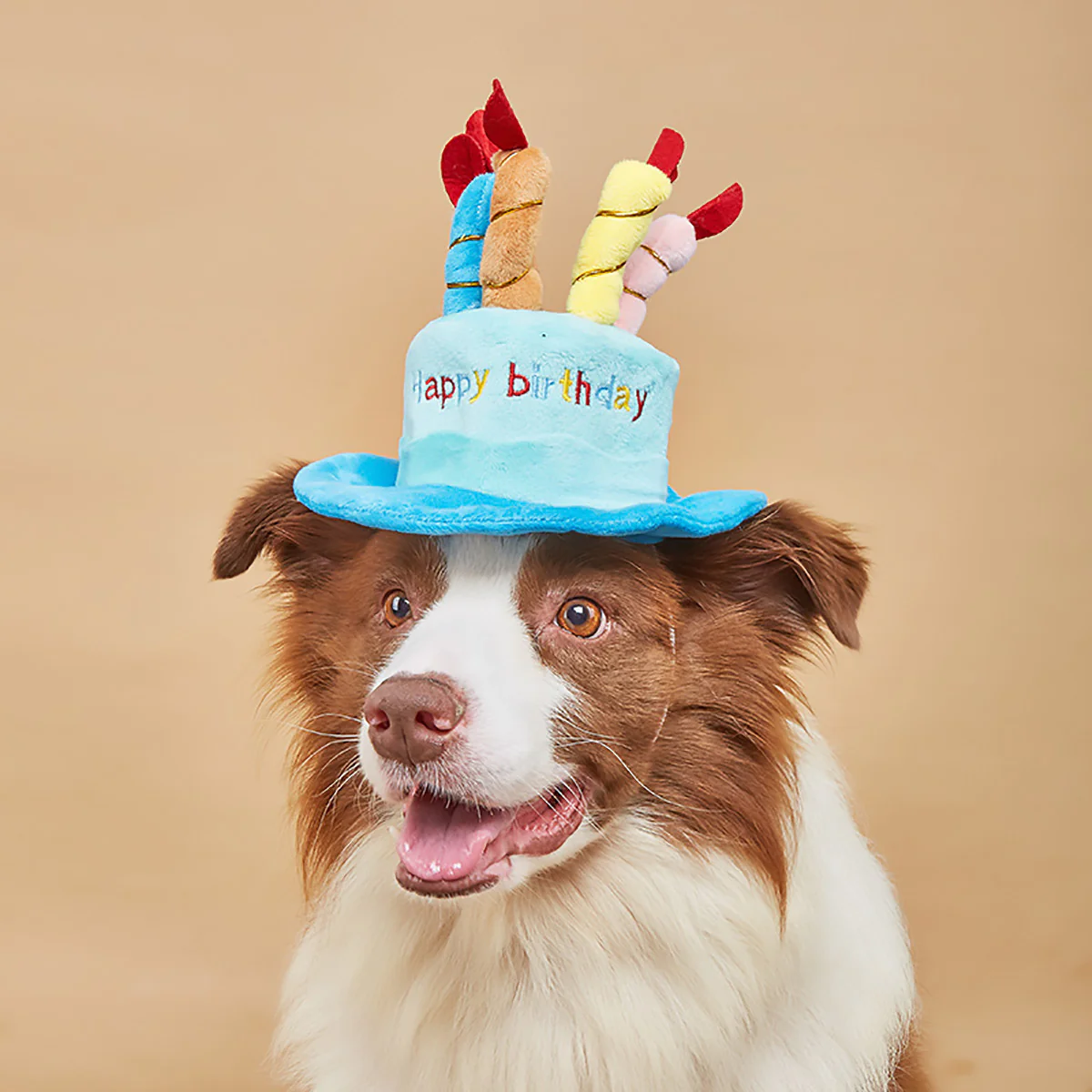 Pet Birthday Hat - Image 7