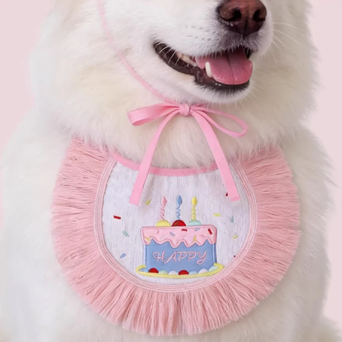 Pet Birthday Outfit Birthday Bib And Hat Set - Image 10
