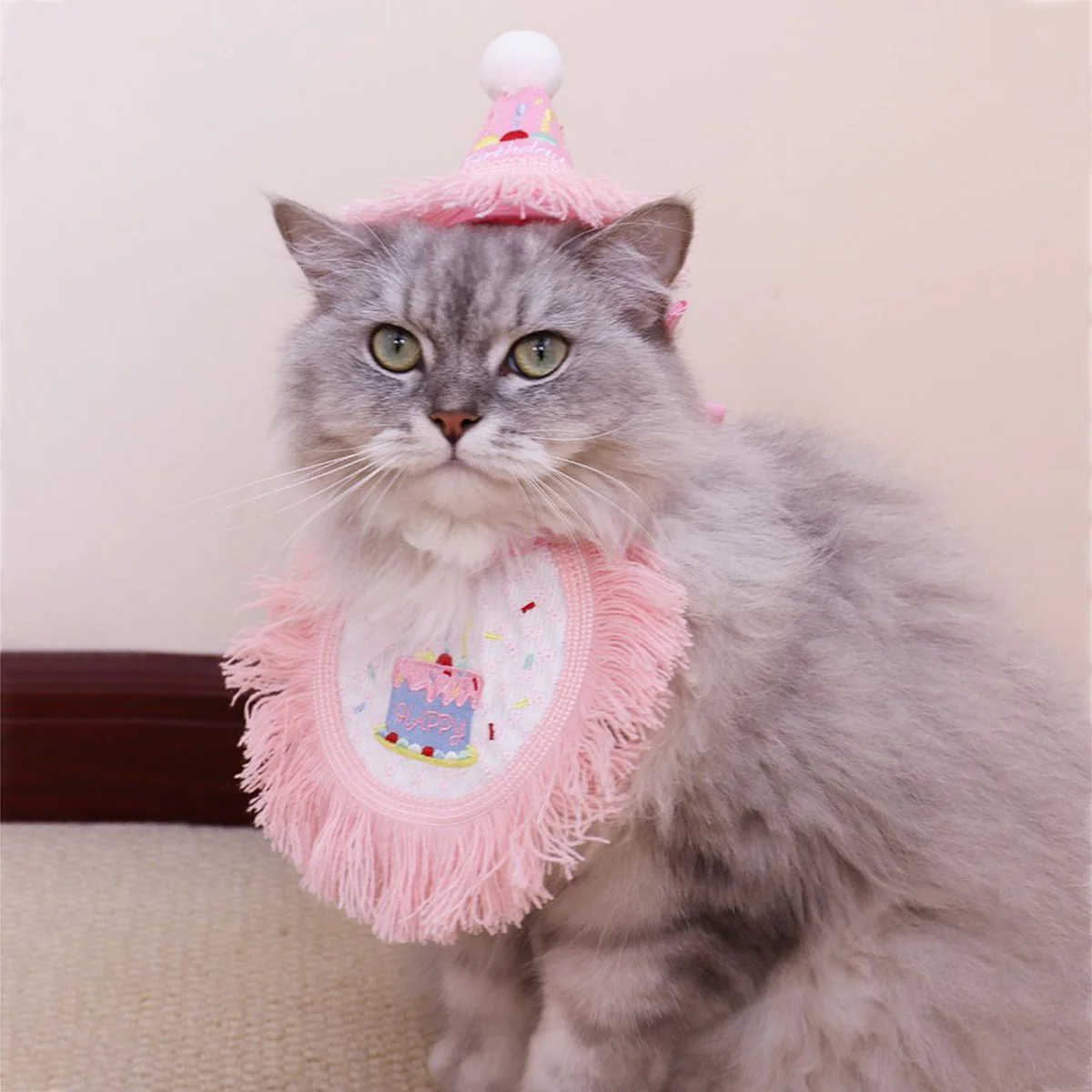 Pet Birthday Outfit Birthday Bib And Hat Set - Image 7