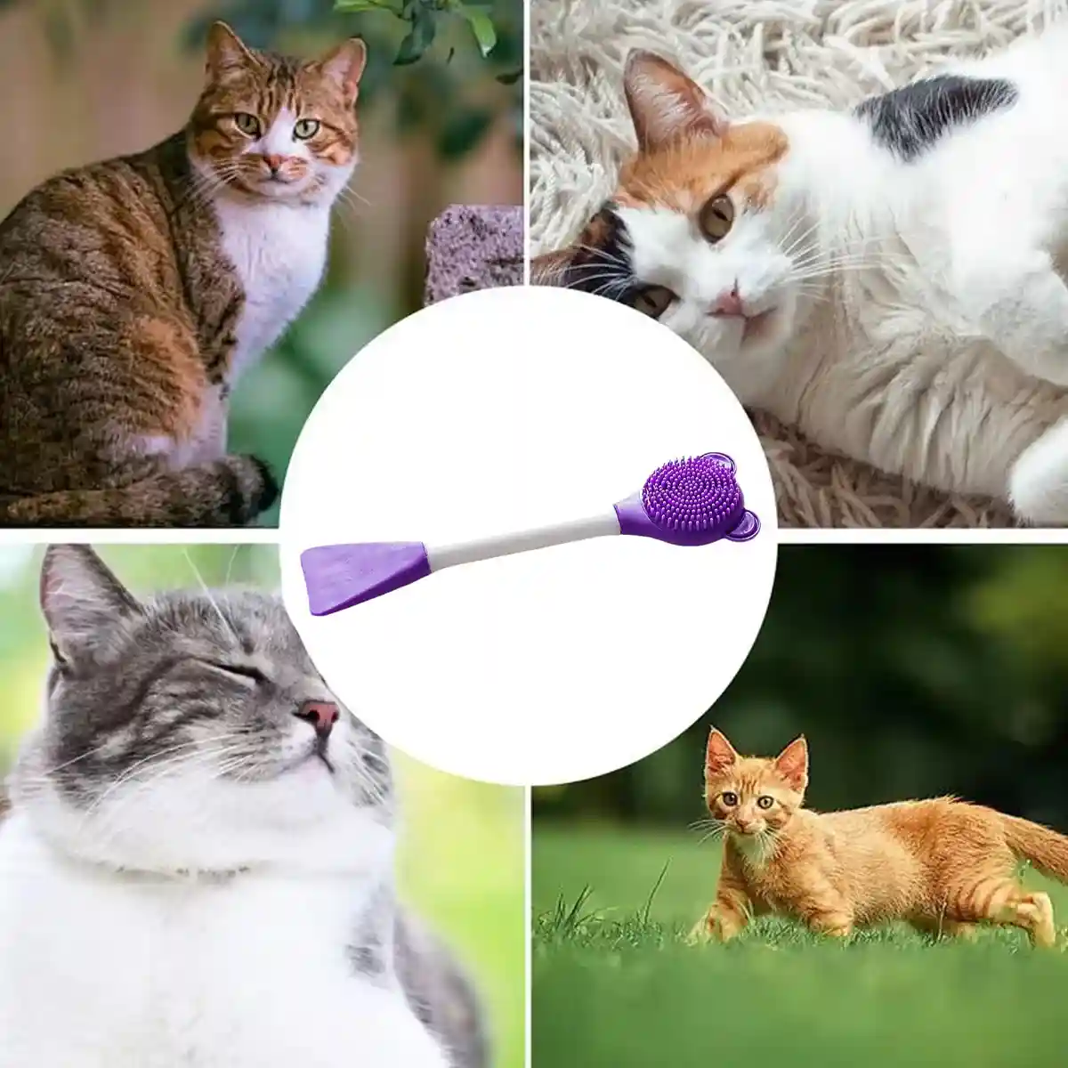 Pet Brush Silicone Exfoliating Tool - Image 11