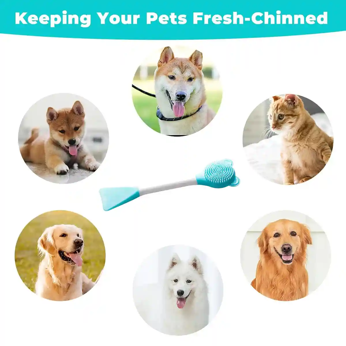 Pet Brush Silicone Exfoliating Tool - Image 12