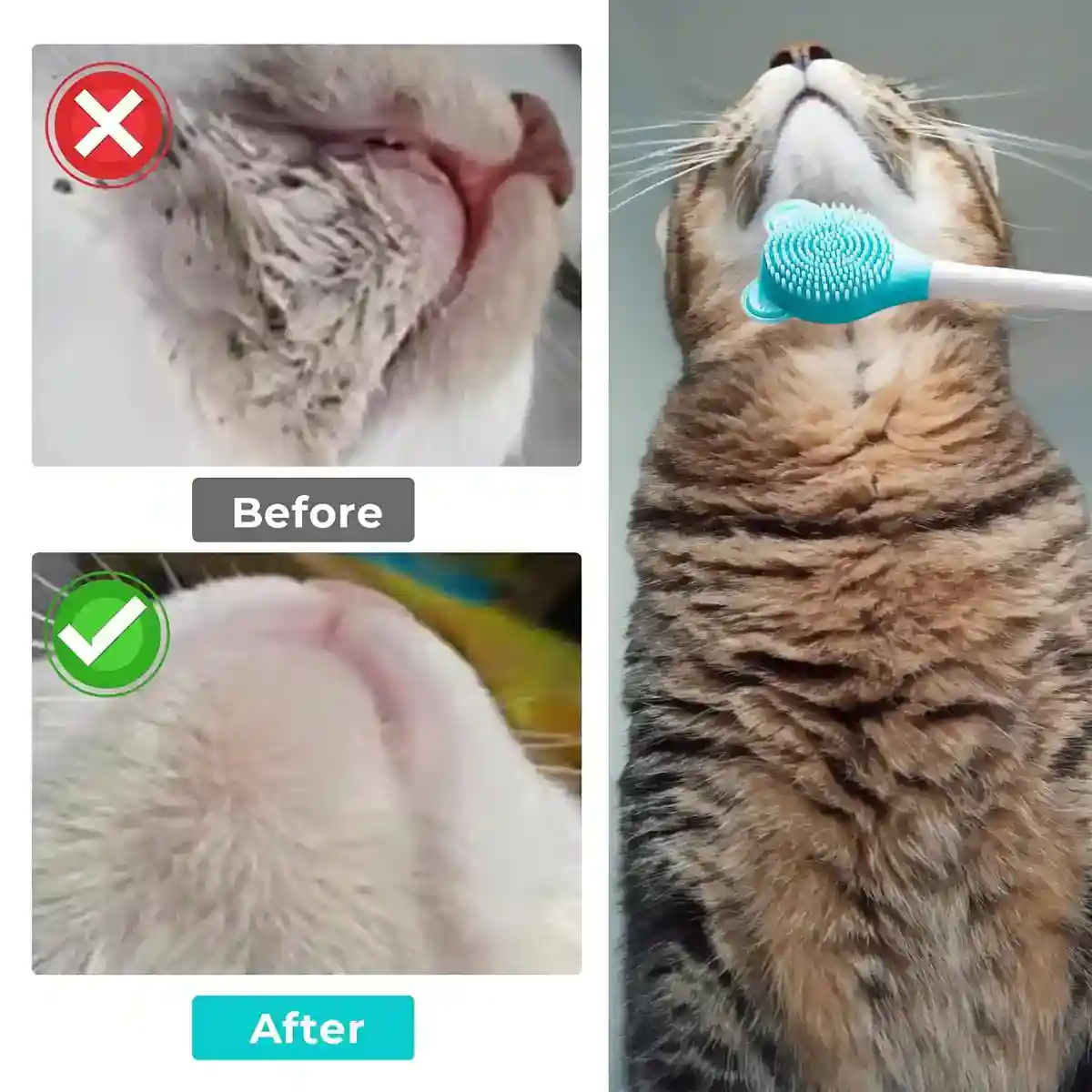 Pet Brush Silicone Exfoliating Tool - Image 8