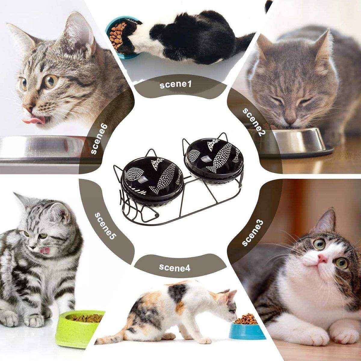 Pet Cat Bowl Ceramic Double Bowl - Image 9