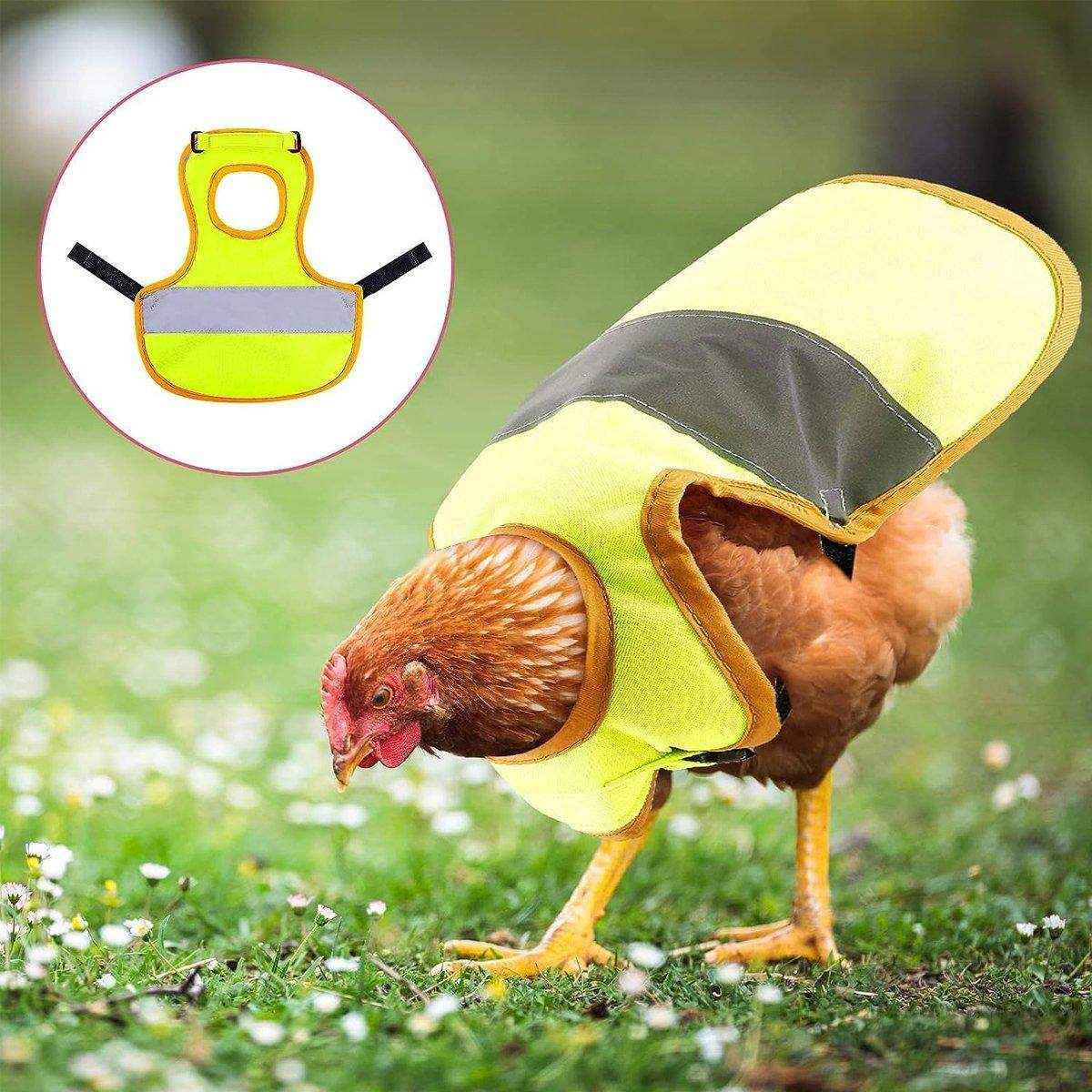 Pet Clothes Chicken Vest Night Anti-lost Duck And Goose Reflective Cloak Warm Clothing - Image 12