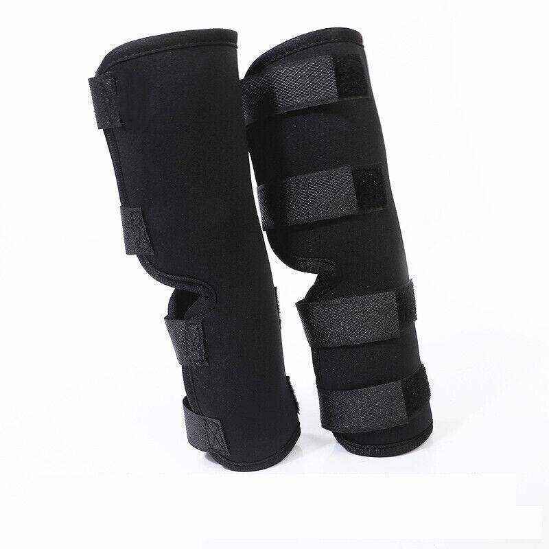 Pet Dog Knee Support S/M/L/XL - Image 2