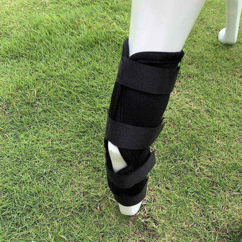 Pet Dog Knee Support S/M/L/XL - Image 6