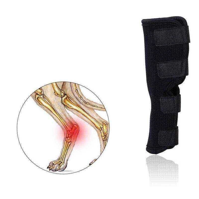 Pet Dog Knee Support S/M/L/XL - Image 7