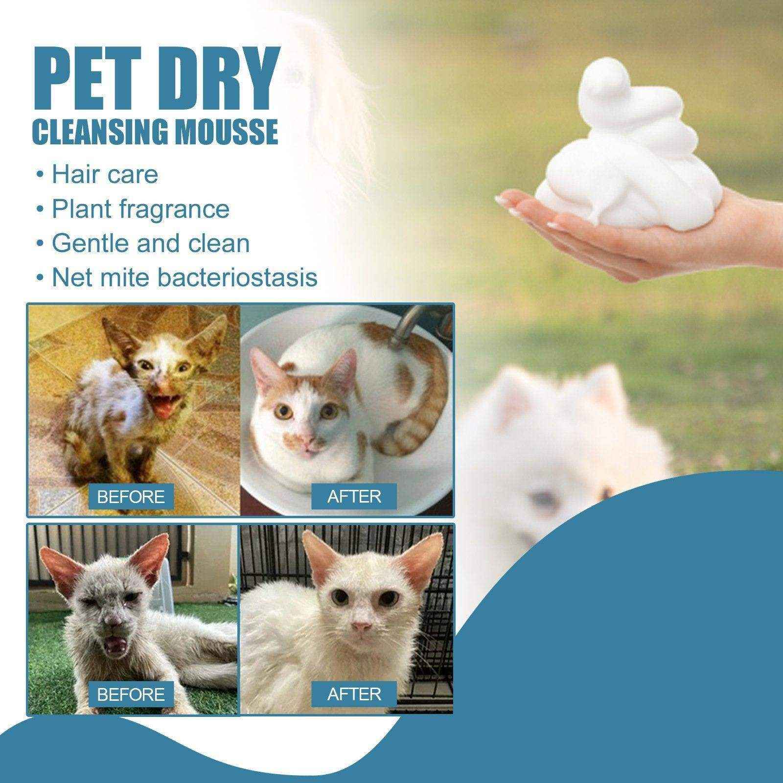 Pet Dry Cleaning Agent Cat Dog Bathing Dry Cleaning Foam Shower Gel Wash-Free - Image 12