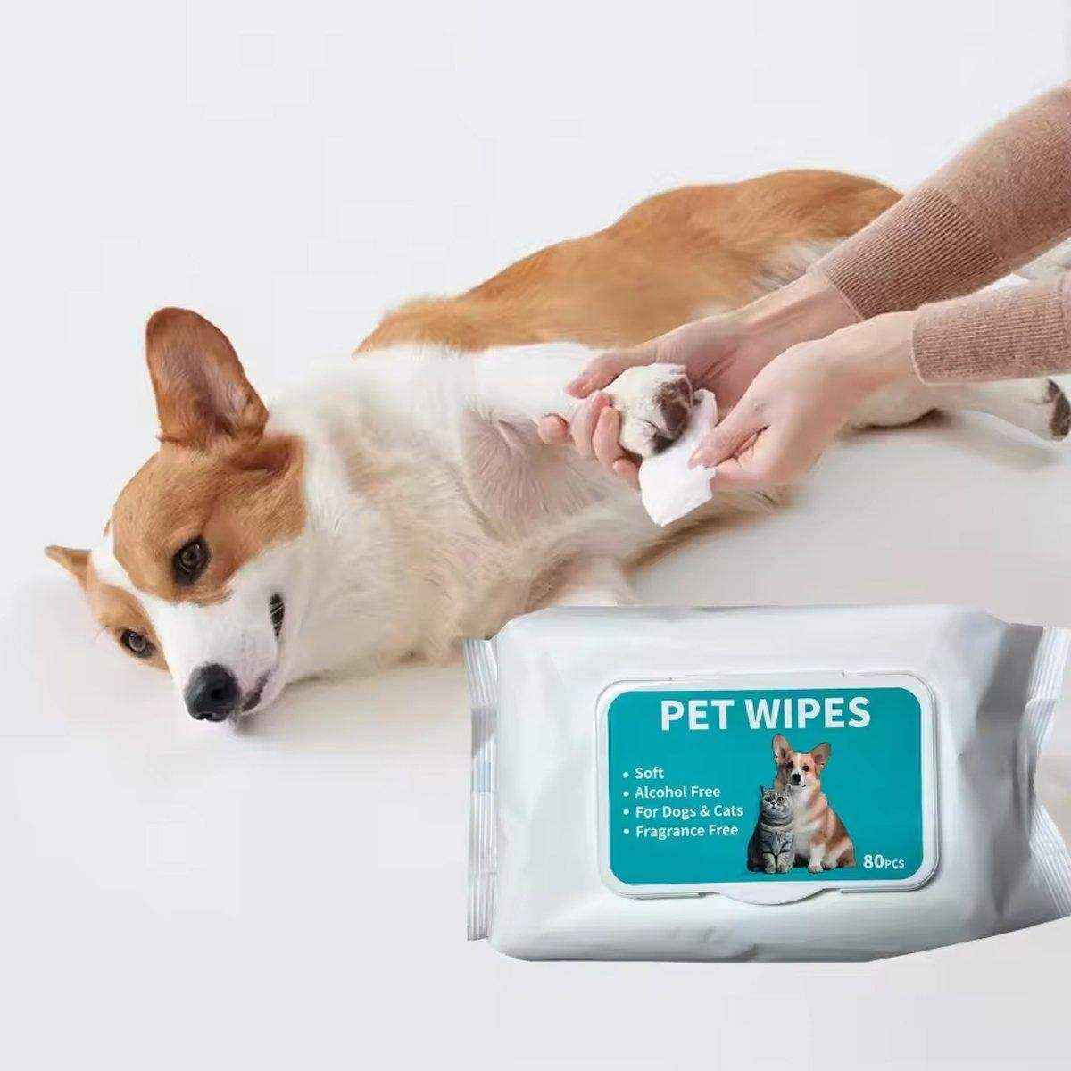 Gentle Ear Care Wipes for Healthy Ears Pet Ear Cleaning Wipes for Dogs and Cats - Image 4