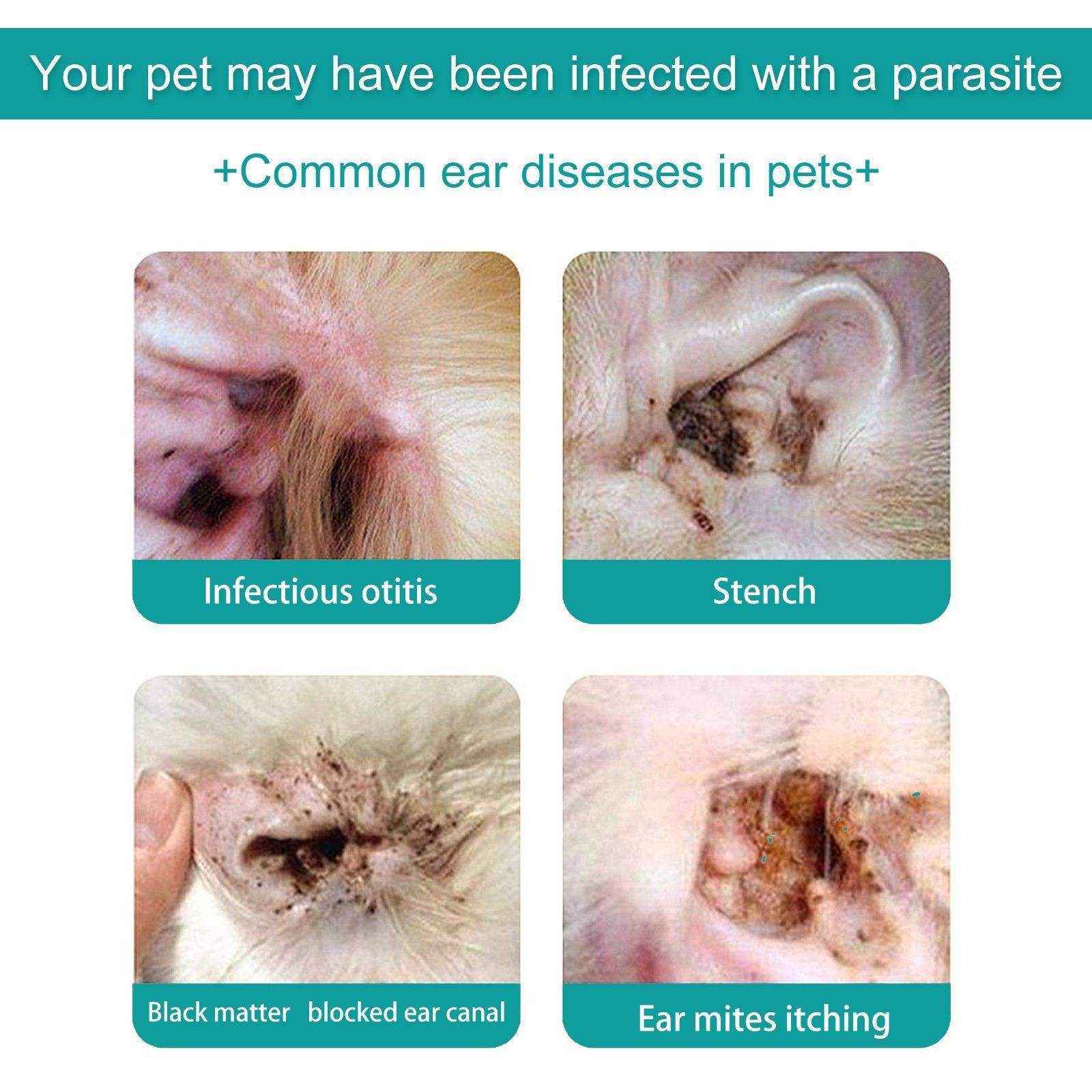 Pet Ear Cleaning Oil Cats And Dogs Ear Cleaning Ear Cleaning Ear Cleaning Oil - Image 12