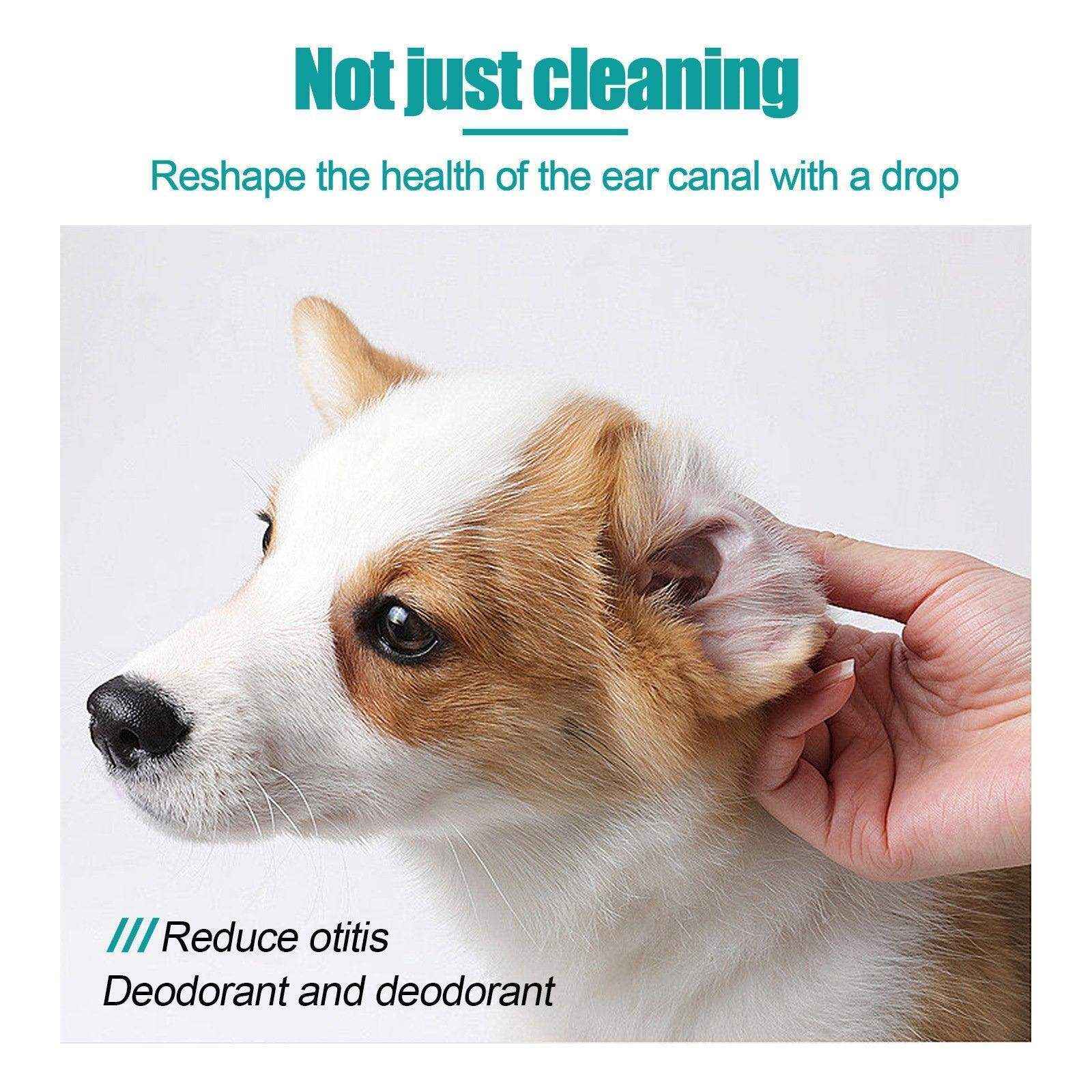 Pet Ear Cleaning Oil Cats And Dogs Ear Cleaning Ear Cleaning Ear Cleaning Oil - Image 14