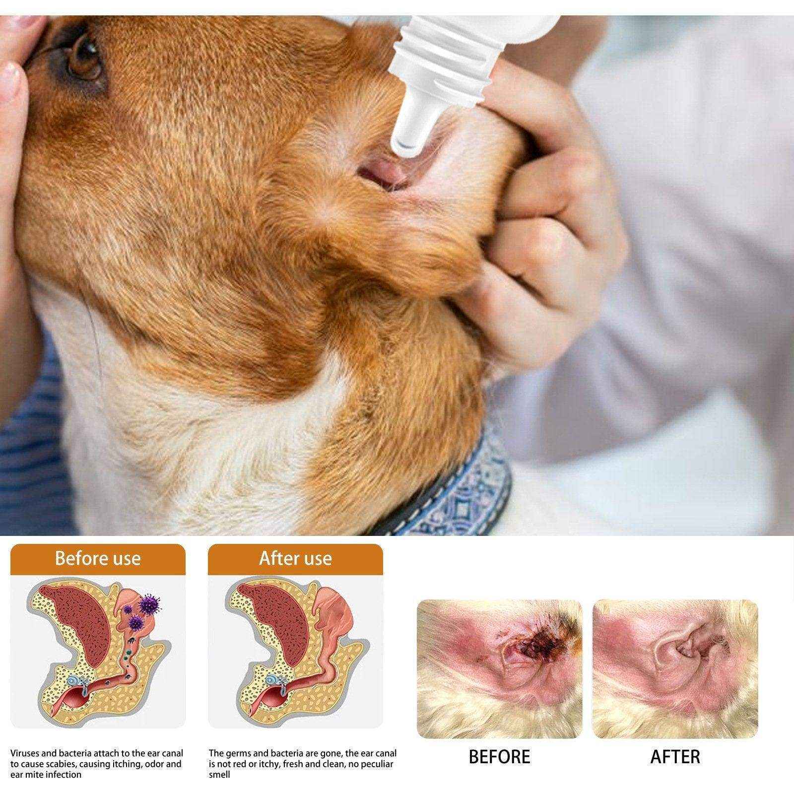 Pet Ear Cleaning Oil Cats And Dogs Ear Cleaning Ear Cleaning Ear Cleaning Oil - Image 7