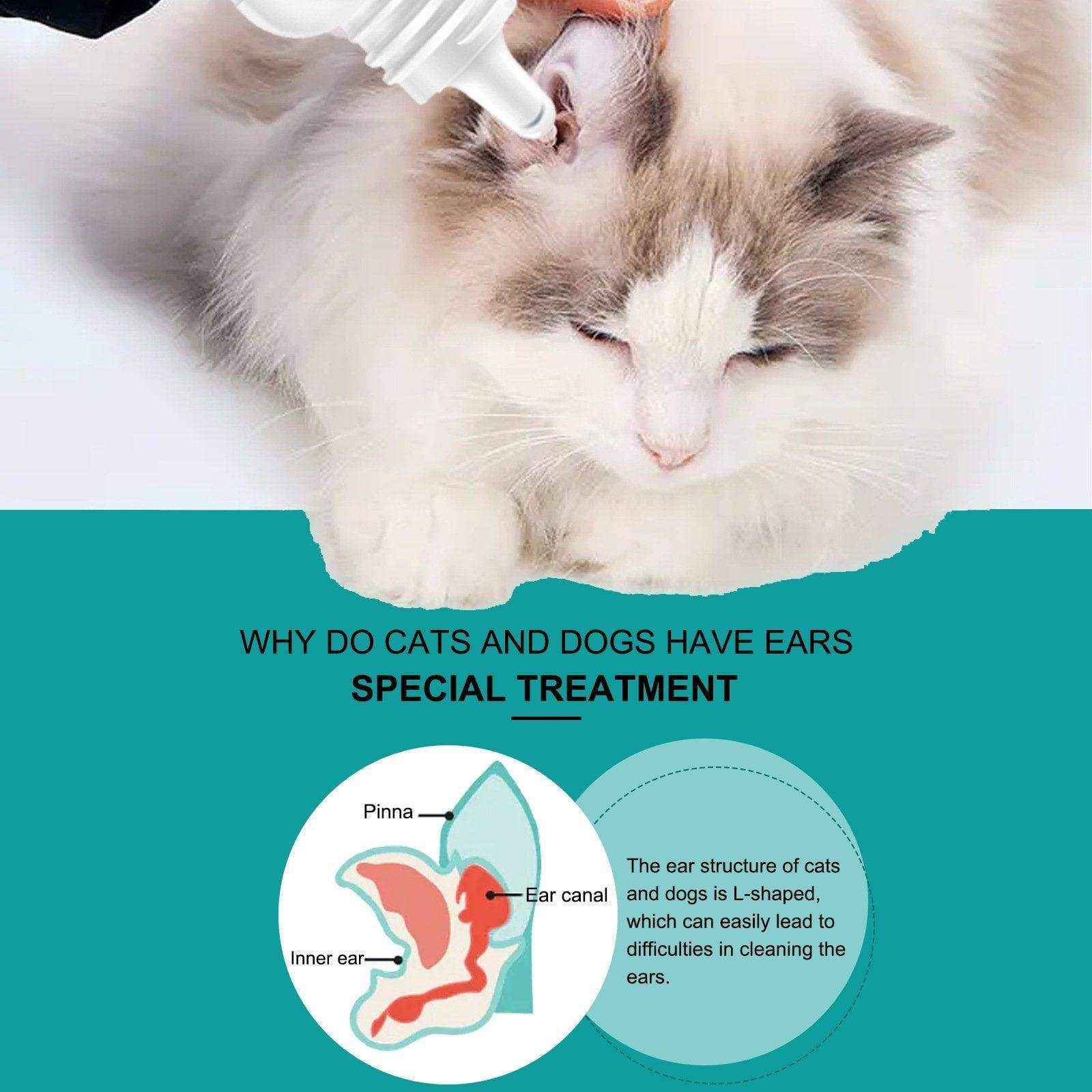 Pet Ear Cleaning Oil Cats And Dogs Ear Cleaning Ear Cleaning Ear Cleaning Oil - Image 9