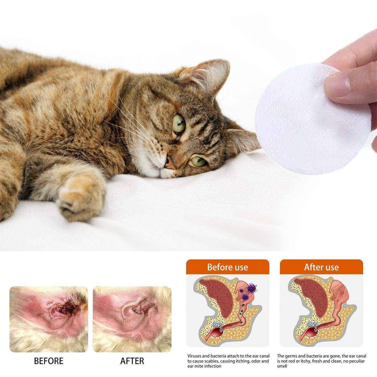 Gentle Pet Ear Wipes For Cats and Dogs - Effective Cleaning and Anti-Odor Mite Protection - Image 11