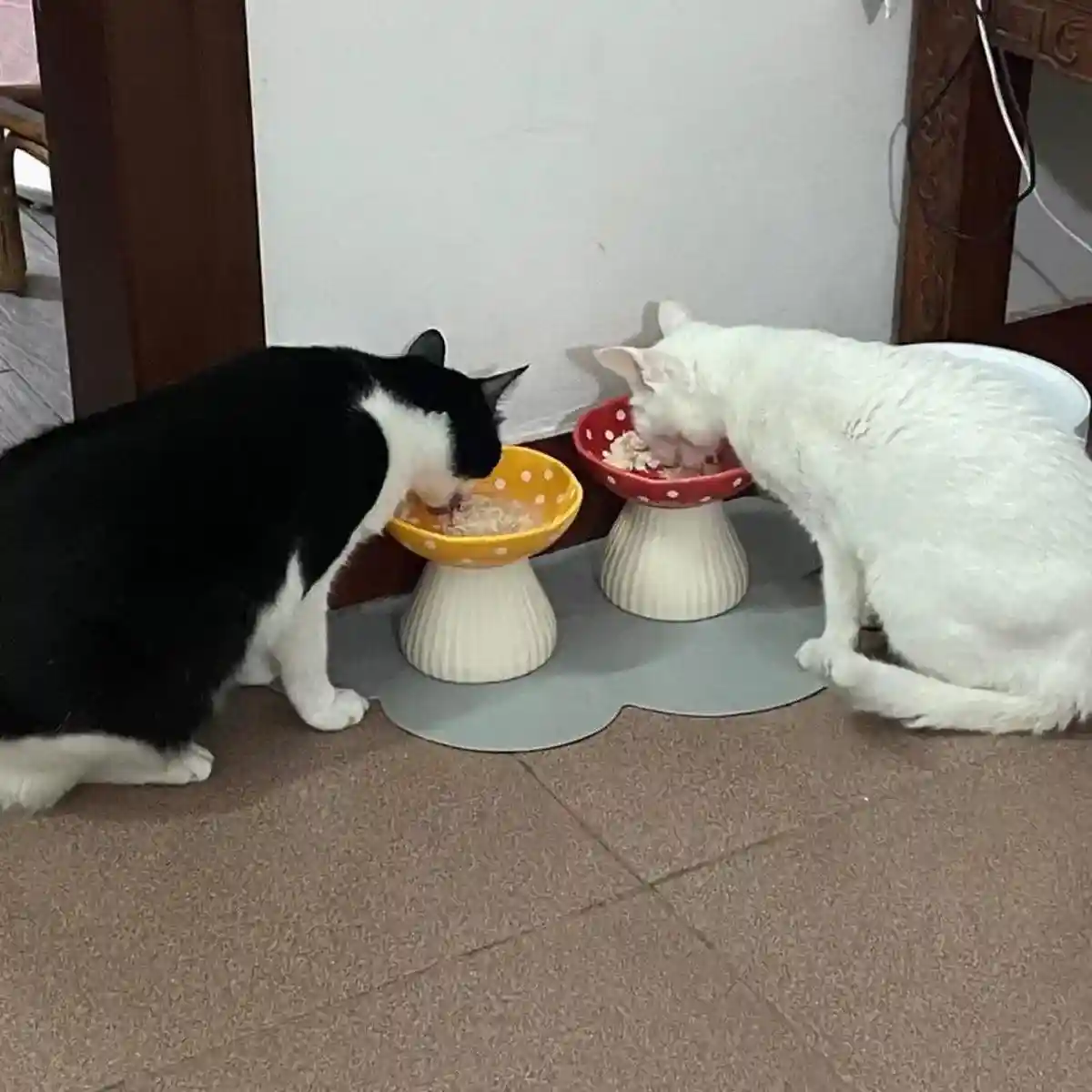 Pet Elevated Mushroom Bowl Cat Dog Bowl Dish Food Feeder Raised Cat Bowl - Image 11