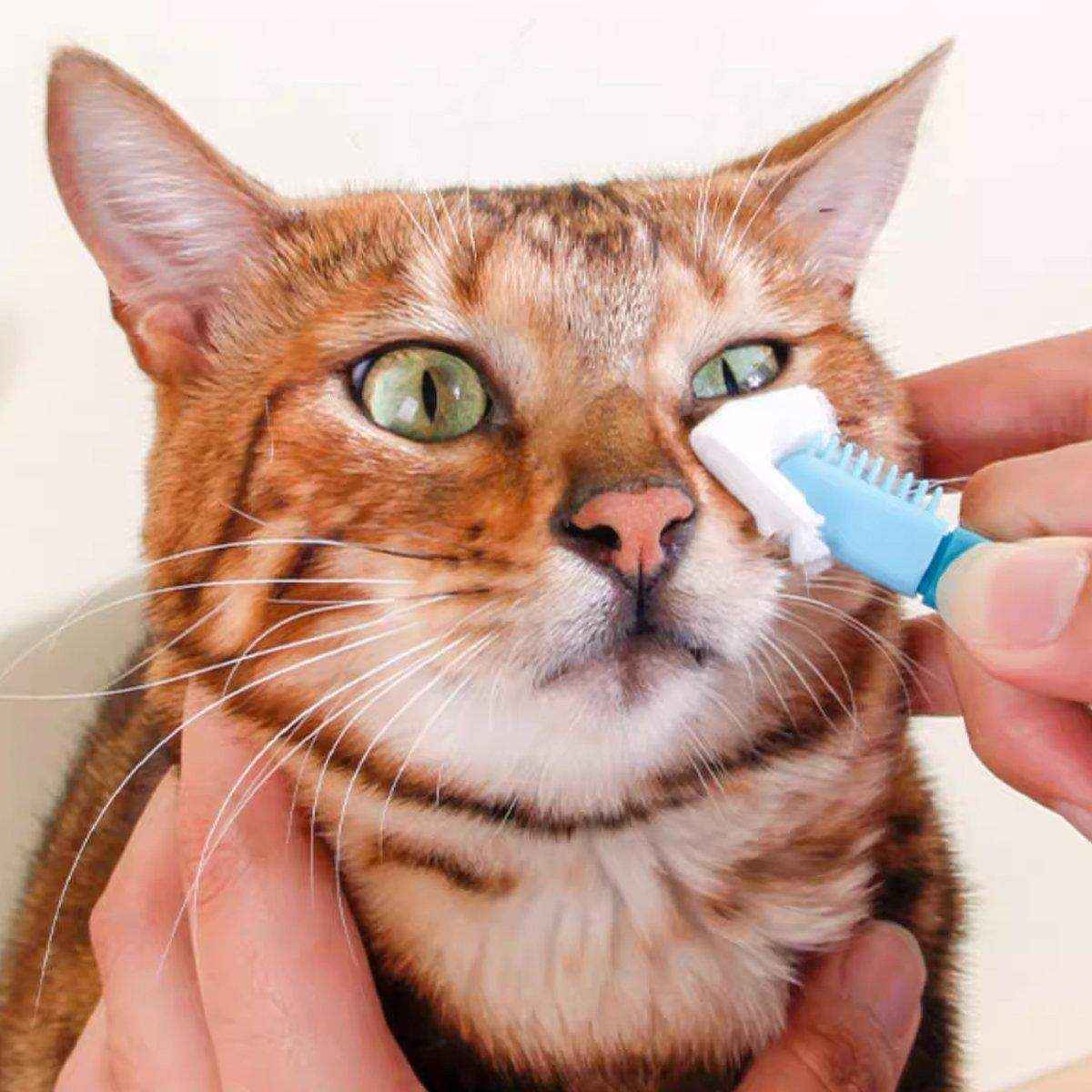 Tear Stain Remover Silicone Pet Eye Brush Grooming Tool for Cats Dogs Cleaning - Image 14