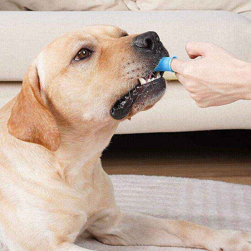 Dog Cat Super Soft Pet Finger Toothbrush Teeth Silicone Brush Care Cleaning - Image 12