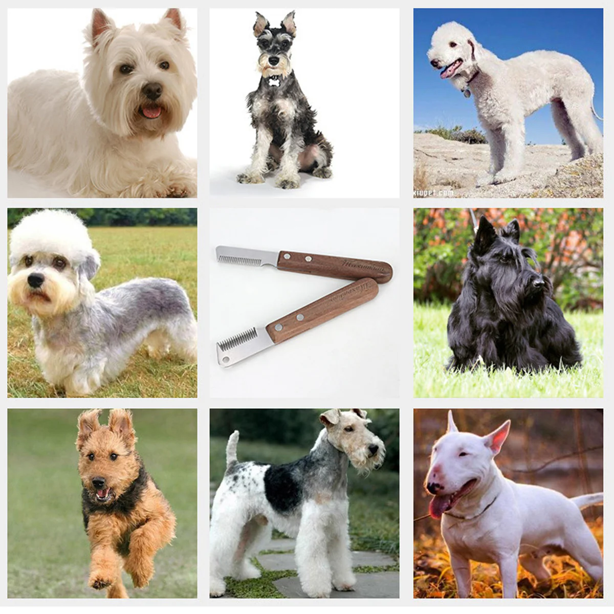 Pet Grooming Pluck Knife For Dogs - Image 12