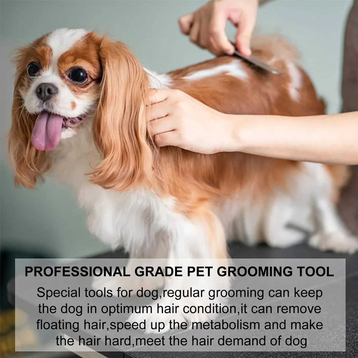 Pet Grooming Pluck Knife For Dogs - Image 9