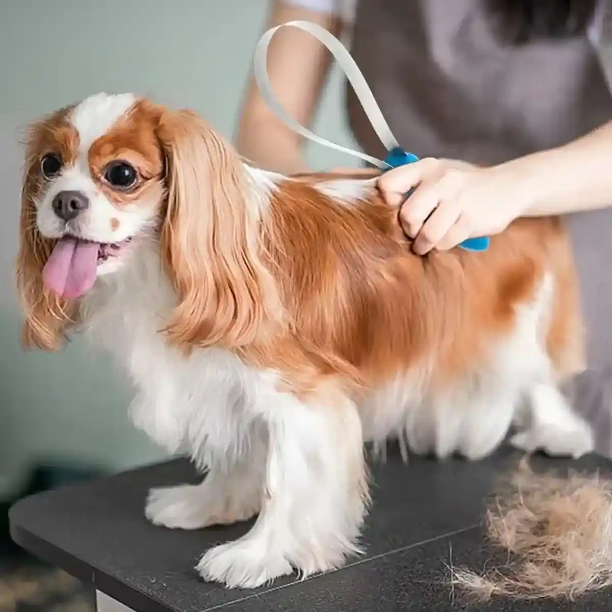 Pet Grooming Tool for Shedding Stainless Steel Hair Removal Comb for Dogs & Cats - Image 9