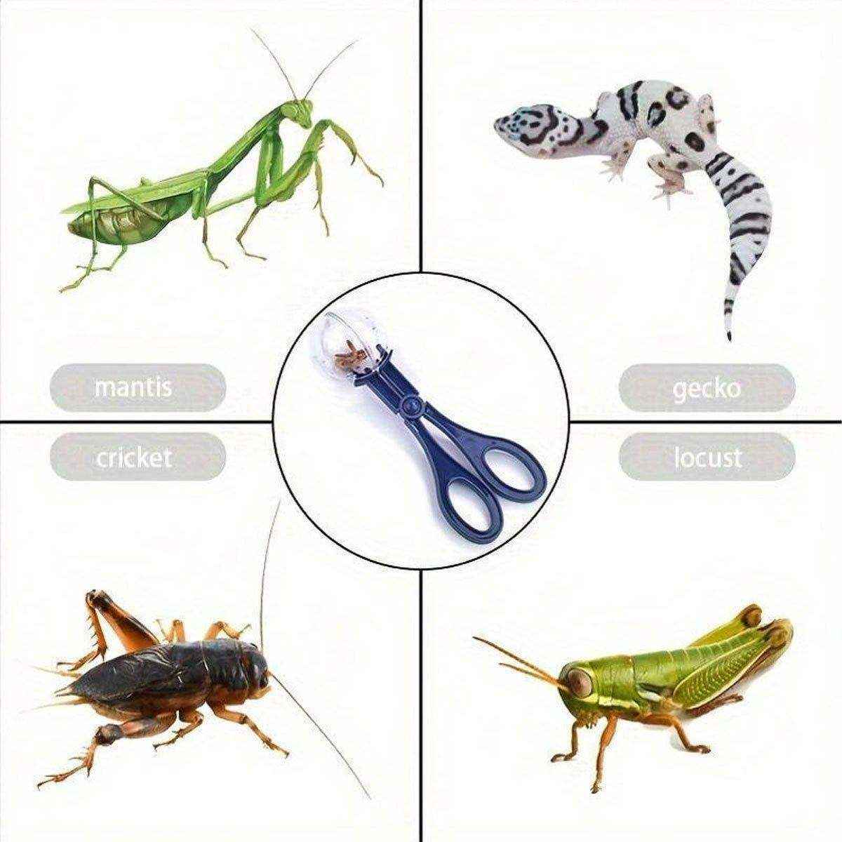 Outdoor Large Insect Catching Clip Insect Clip Catching Tool Clip - Image 13