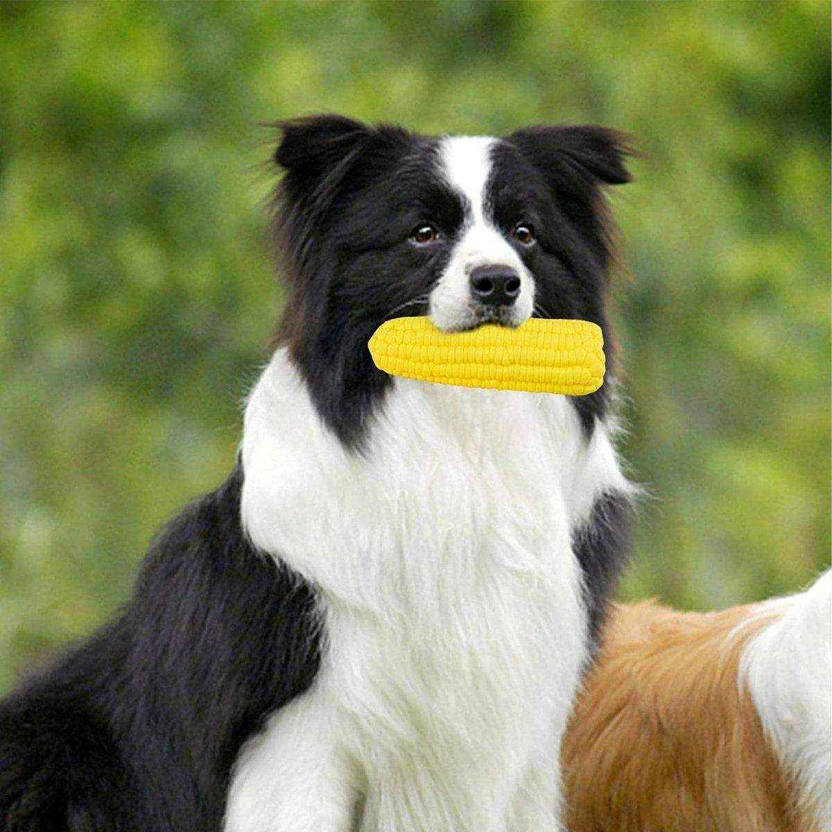 Pet Latex Toys Corn Bite Resistant Molars Dog Toys - Image 9