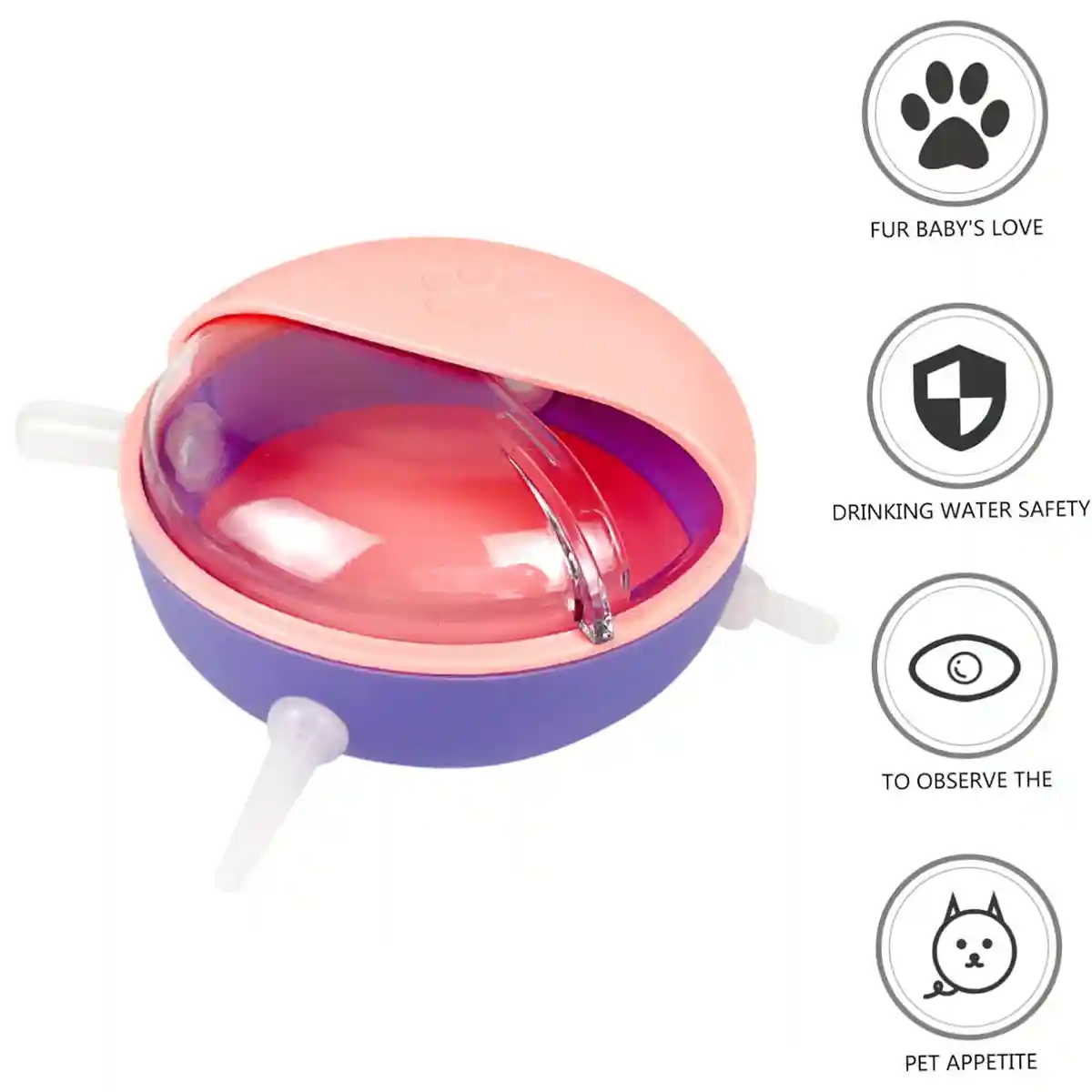 Newborn Pet Milk Feeder Bowl with 5 Silicone Nipples for Kittens & Pups - Image 5