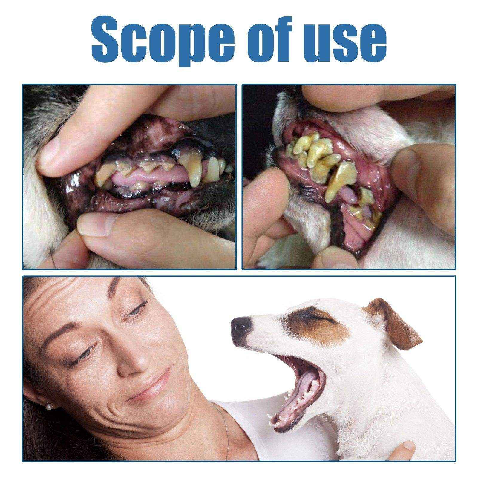 Pet Oral Foam Gentle Tartar Remover for Dogs & Fresh Breath Dental Care - Image 10