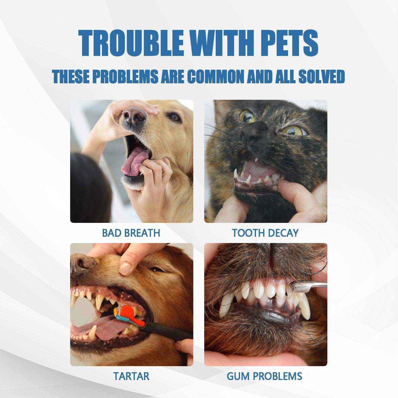 Pet Oral Foam Gentle Tartar Remover for Dogs & Fresh Breath Dental Care - Image 11
