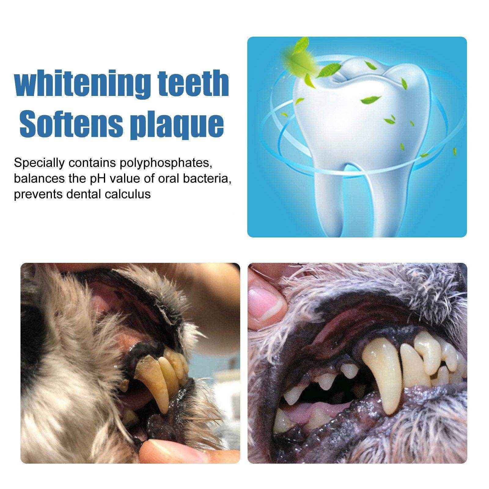 Pet Oral Foam Gentle Tartar Remover for Dogs & Fresh Breath Dental Care - Image 5