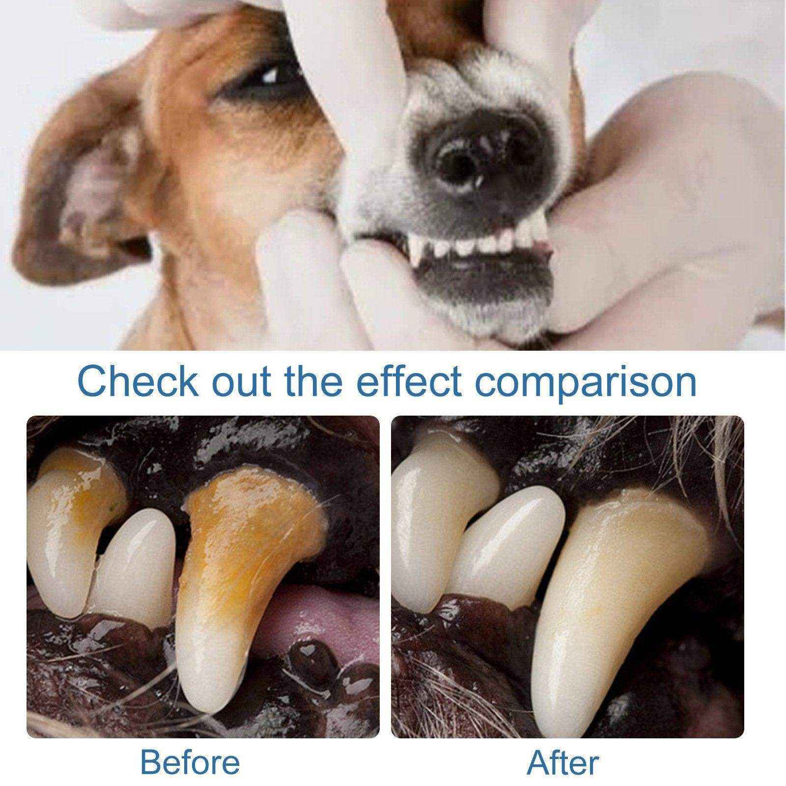 Pet Oral Foam Gentle Tartar Remover for Dogs & Fresh Breath Dental Care - Image 6