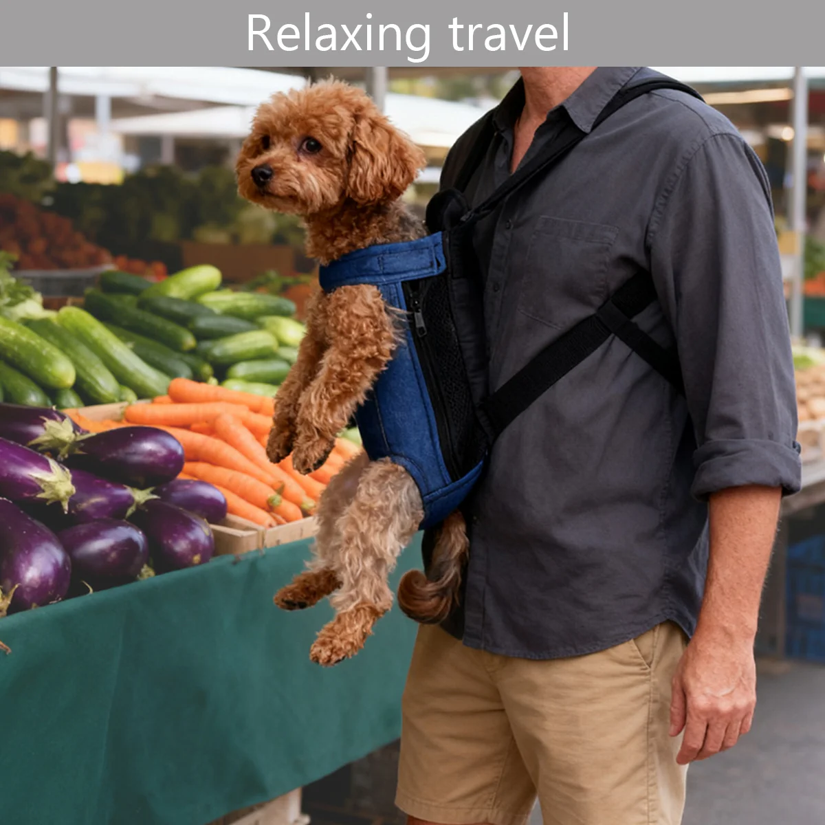 Pet Outdoor Backpack Breathable Anti Scratch for Cats Dogs Travel Hiking Use - Image 7