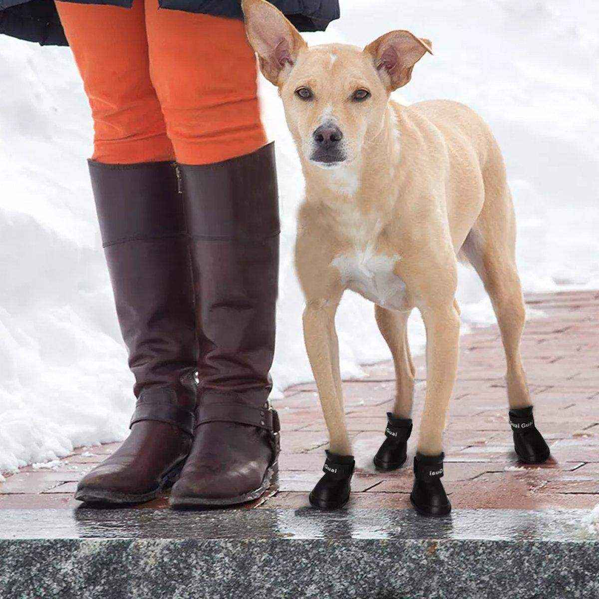 Cartoon Boots Pet Rain Boots Waterproof Non-slip Wear-resistant Dog Shoes - Image 17