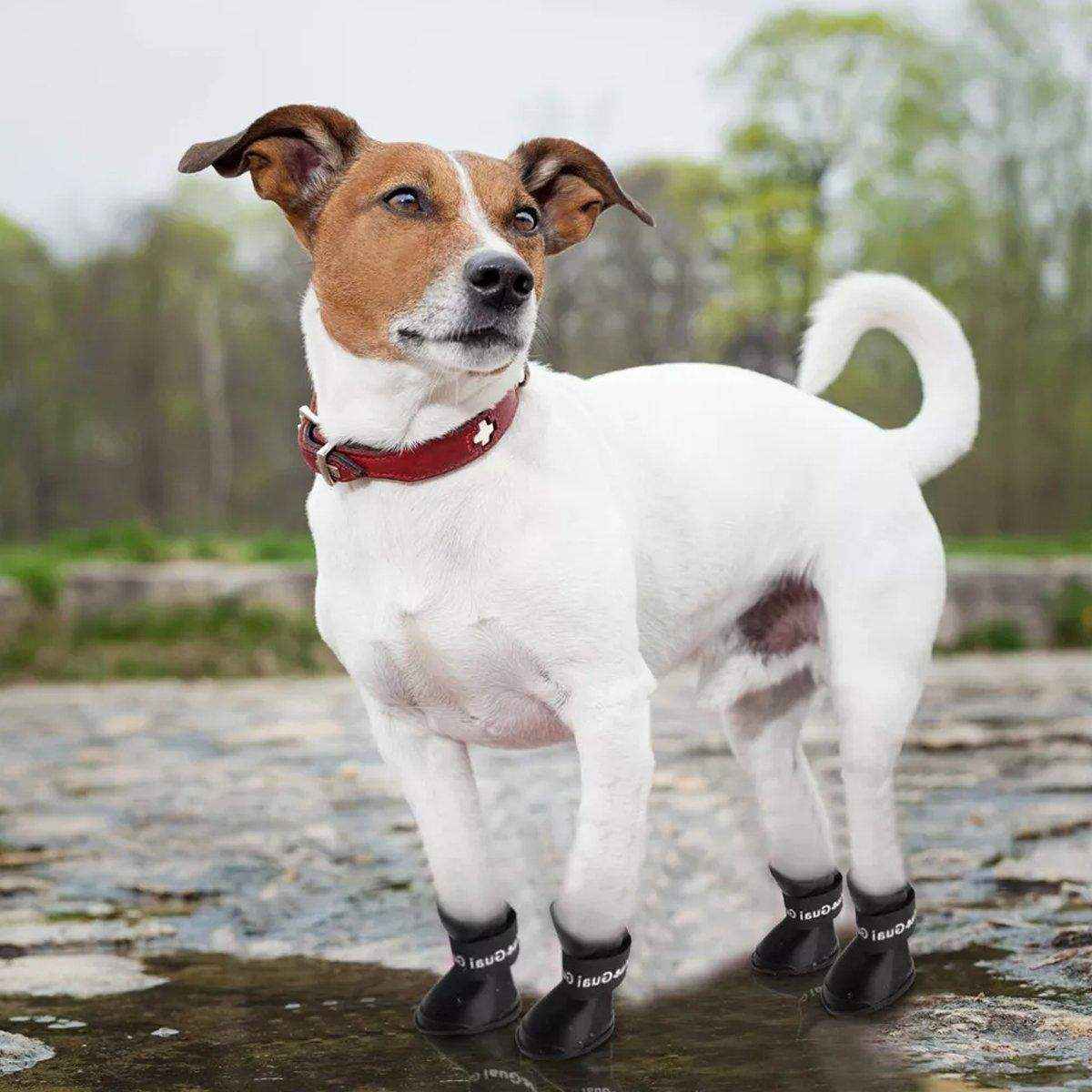 Cartoon Boots Pet Rain Boots Waterproof Non-slip Wear-resistant Dog Shoes - Image 18
