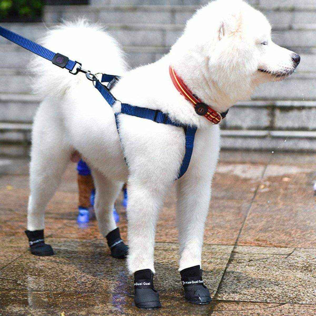 Cartoon Boots Pet Rain Boots Waterproof Non-slip Wear-resistant Dog Shoes - Image 5