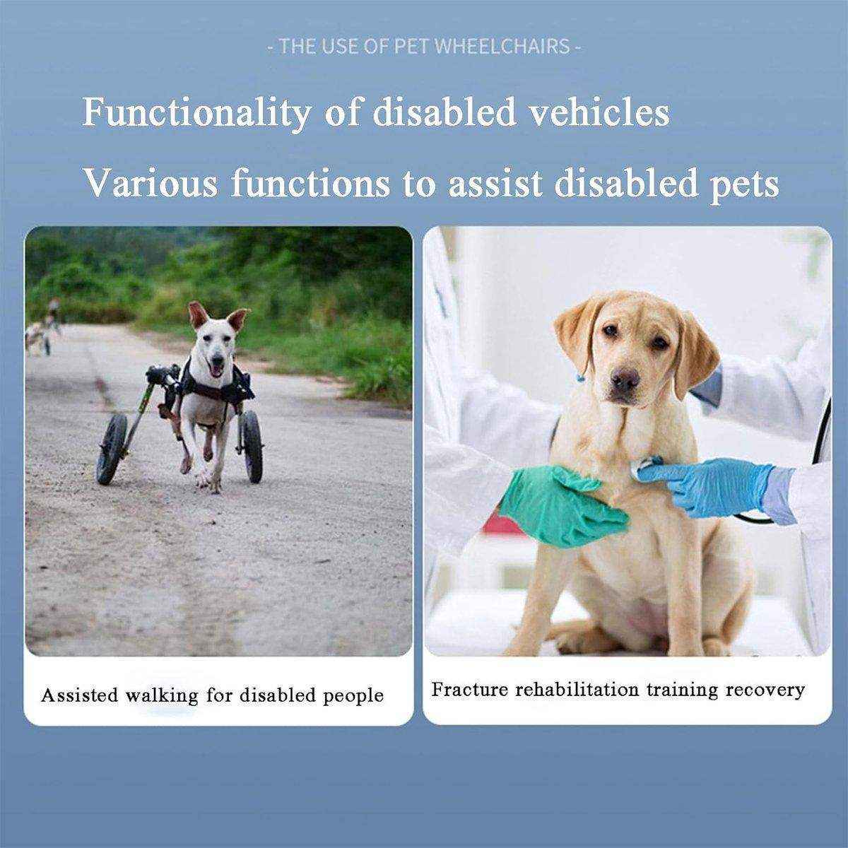 Pet Recovery Leash Assistance Car - Mobility Aid for Disabled Pets - Image 6