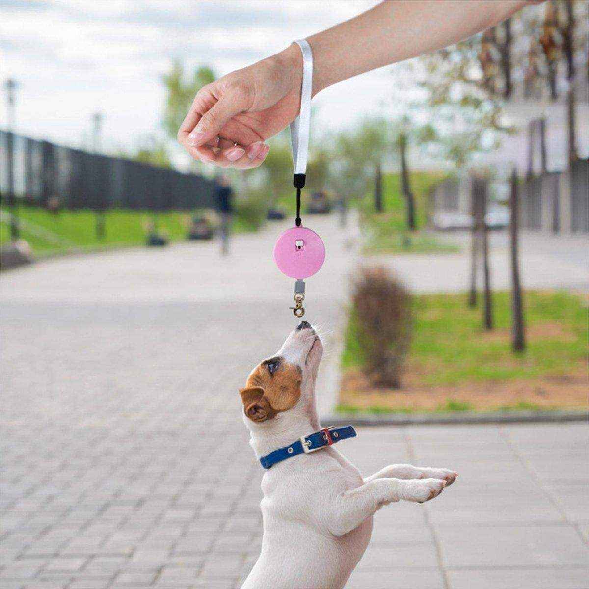 Pet Retractable Traction Rope Durable Dog Leash with 360° Buckle Easy Control - Image 7