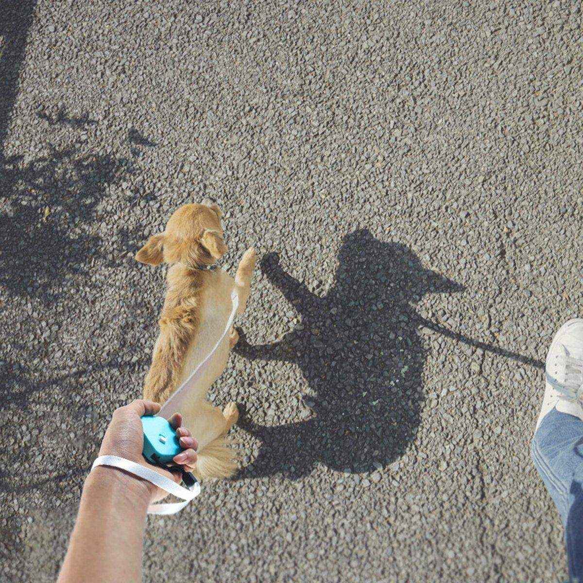 Pet Retractable Traction Rope Durable Dog Leash with 360° Buckle Easy Control - Image 9