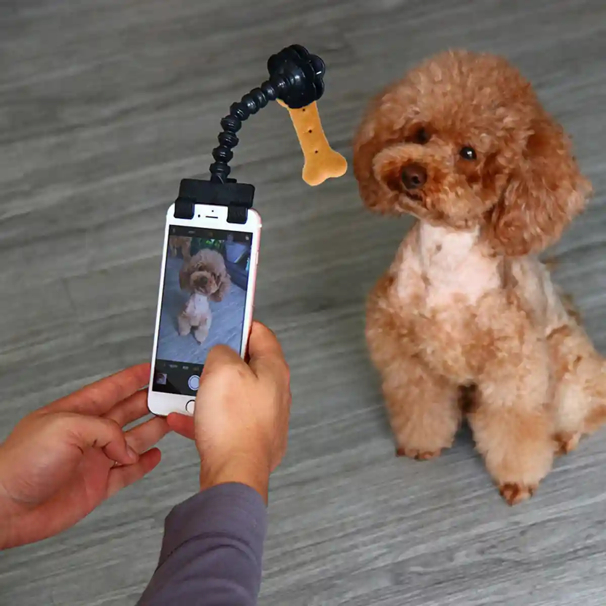 Pet Selfie Stick Smartphone Clip For Perfect Pet Photos - Image 3