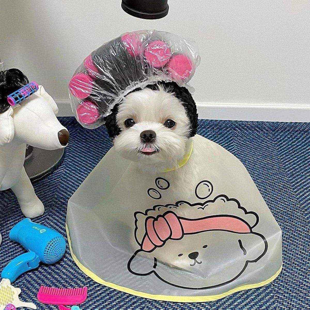 Pet Shop Bath Cleaning Pet Dog Cat Cleaning Tearmarks Hair Cloth Cover Pet Supplies - Image 10