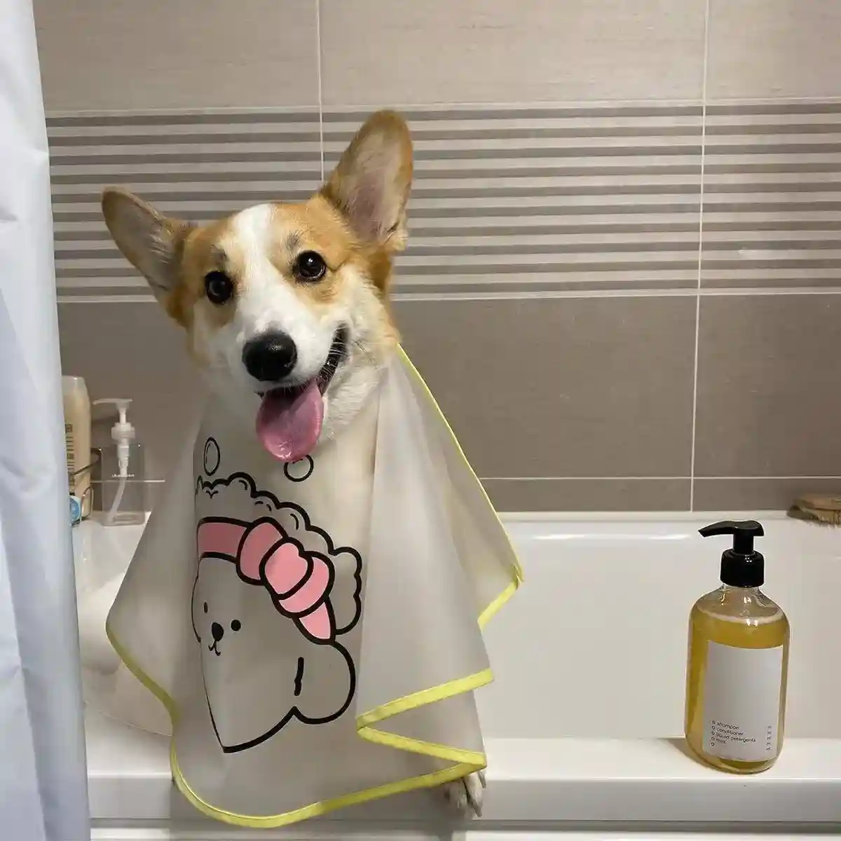 Pet Shop Bath Cleaning Pet Dog Cat Cleaning Tearmarks Hair Cloth Cover Pet Supplies - Image 6