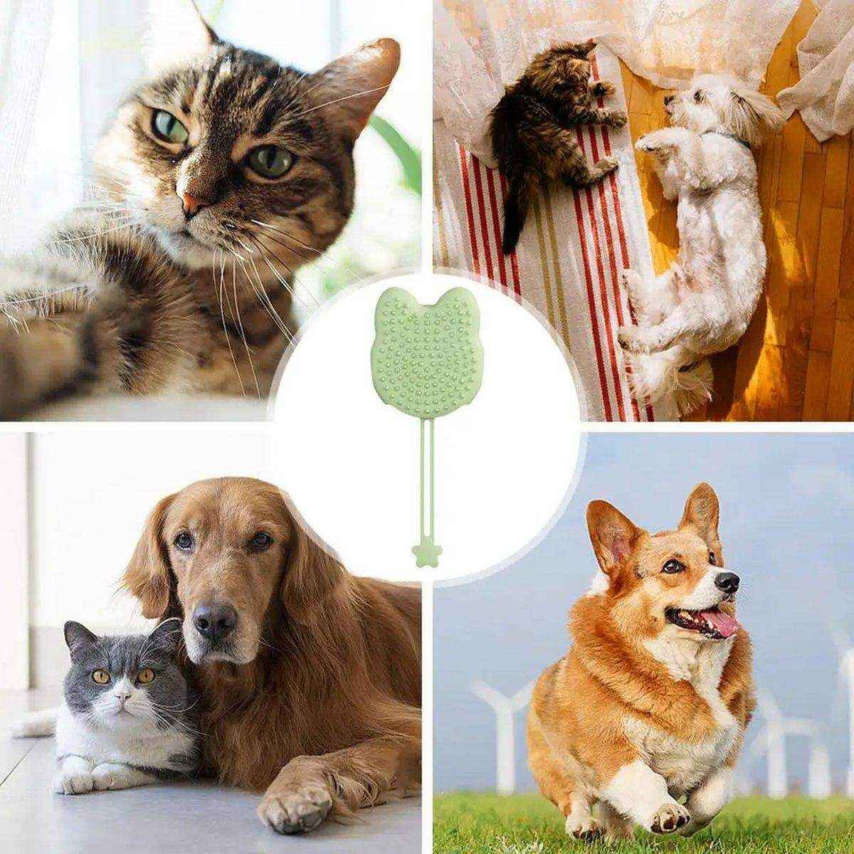 Pet Silicone Cat Gloves Bath Brush Cat Dog Hair Cleaning Comb - Image 10