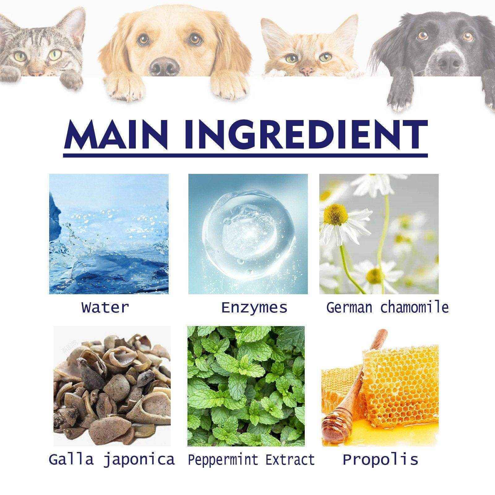 Enzyme-Based Pet Toothpaste for Fresh Breath & Healthy Gums - Image 4