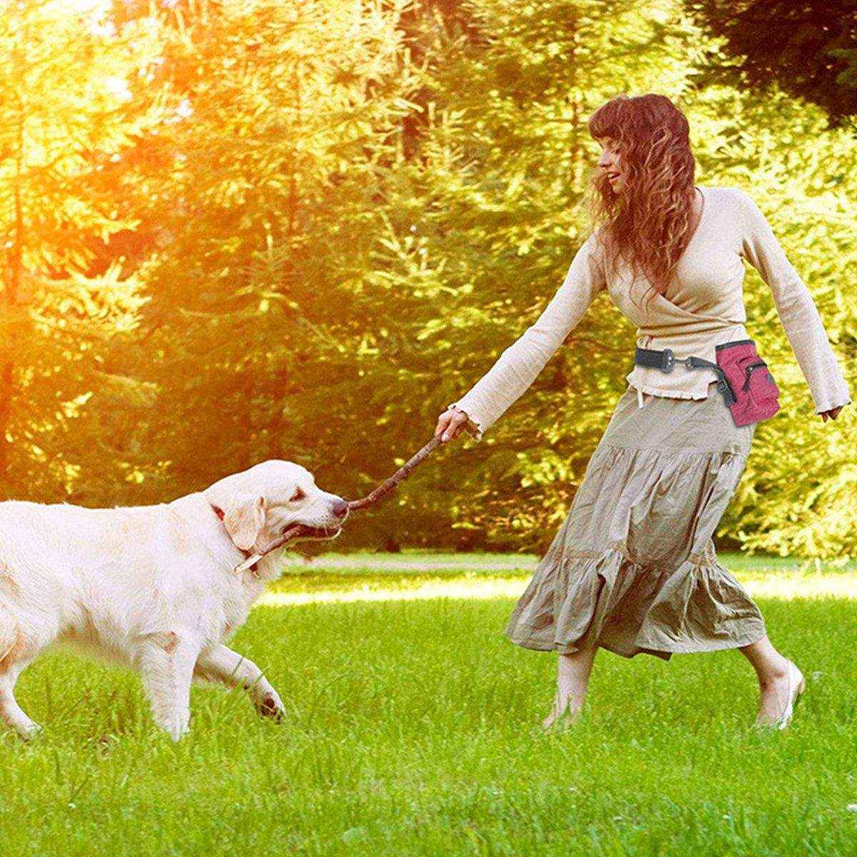 Pet Training Bag & Dog Walking Waist Bag Multi-use Garbage Collection Bag - Image 7