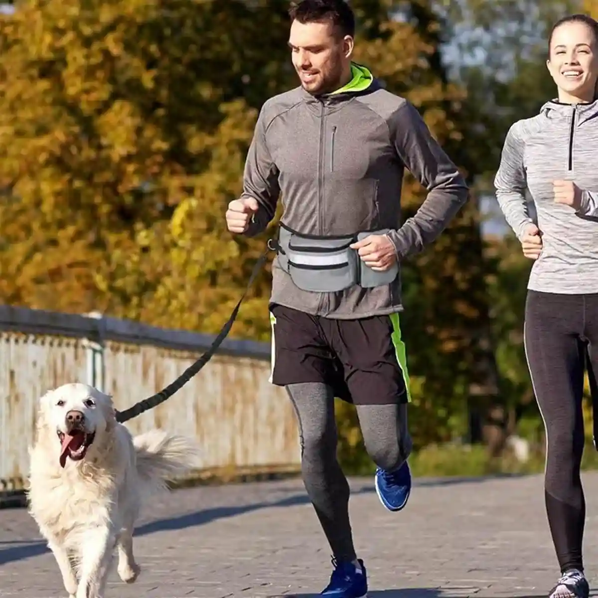 Dog Treat Pouch Adjustable Dog Walking Waist Bag with Pockets - Image 12