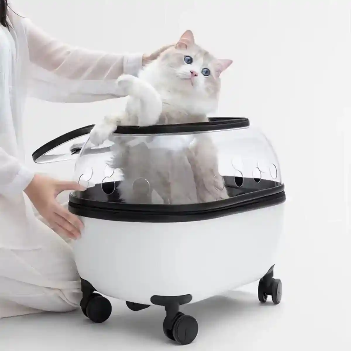Pet Trolley with Skylight Design Convenient Travel Carrier for Cats and Small Pets - Image 6